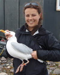 Holly wins the Riddiford Poster Award at SICB 2015!