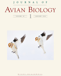 Emily and Christie land the cover of the Journal of Avian Biology!!